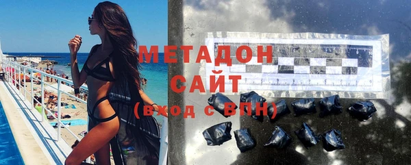 хмурый Аркадак