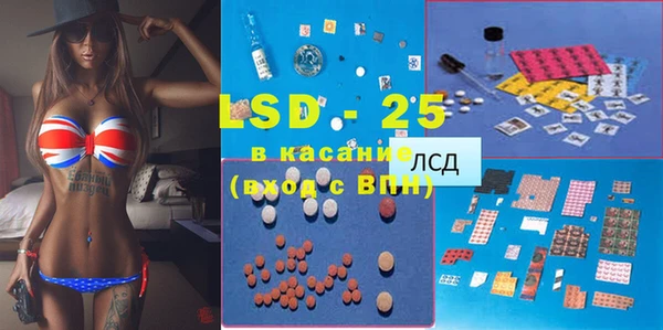 хмурый Аркадак